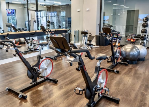 Spin Studio