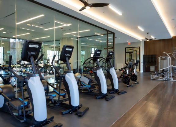 Studio Featuring Cardio Machines and Weights