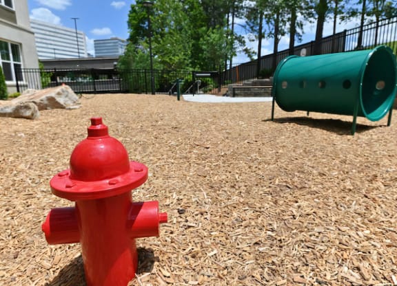 Bark Park for Dogs