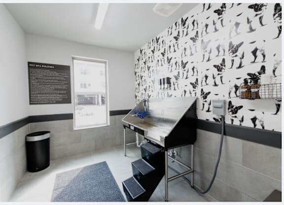 On-Site Pet Spa with Stainless Steel Wash Station and Hose