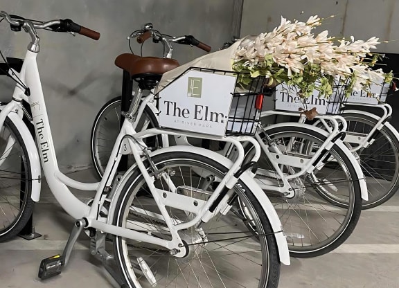 Indoor Community Bike Racks with Branded Bicycles at The Elm at River Park