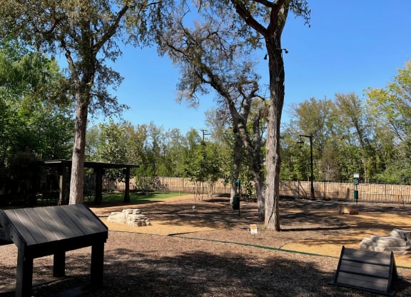 Pet-Friendly Outdoor Park with Natural Landscaping and Equipment