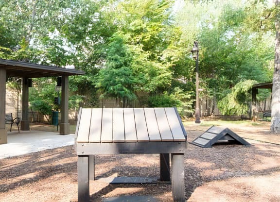 Pet Play Area with Covered Seating and Open Exercise Zones