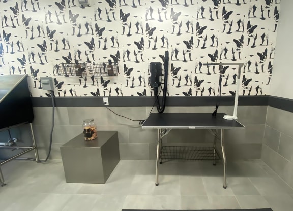 Indoor Pet Spa Featuring Modern Bathing and Grooming Amenities