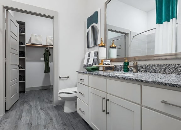 Gorgeous Bathroom with Connected Walk In Closet