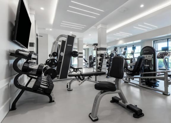 Fully-Equipped Fitness Center with Strength Training Options