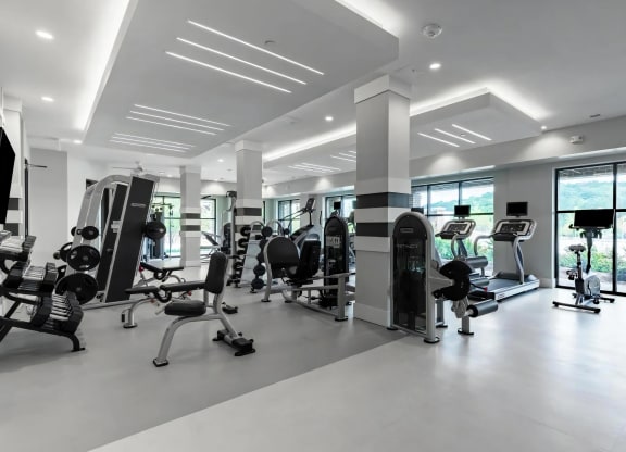 Full-Service Fitness Studio with Cardio and Strength Equipment