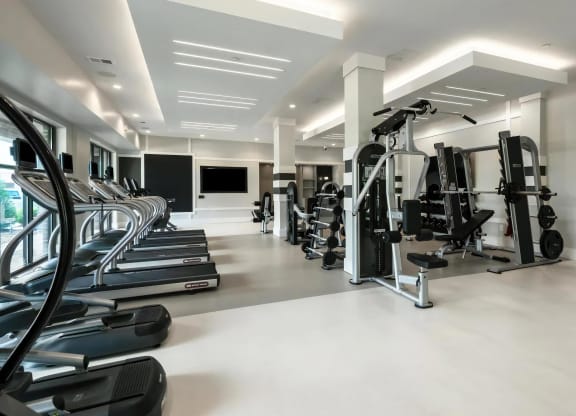Fitness Room with Cardio Machines, Free Weights, and Streaming Screen