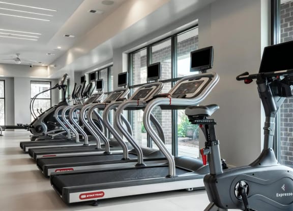 Cardio-Focused Fitness Studio with Row of Treadmills and Ellipticals