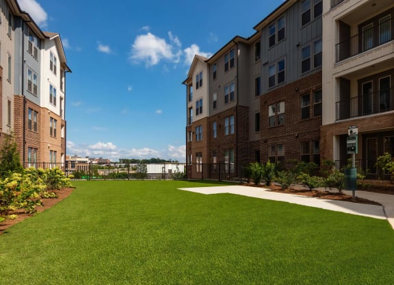 Pet-Friendly Grass Courtyard with Sidewalk and Dog Amenities