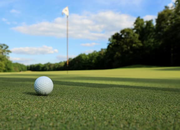 Tee Off Just Minutes Away at Franklin Bridge Golf Course Near The Harper