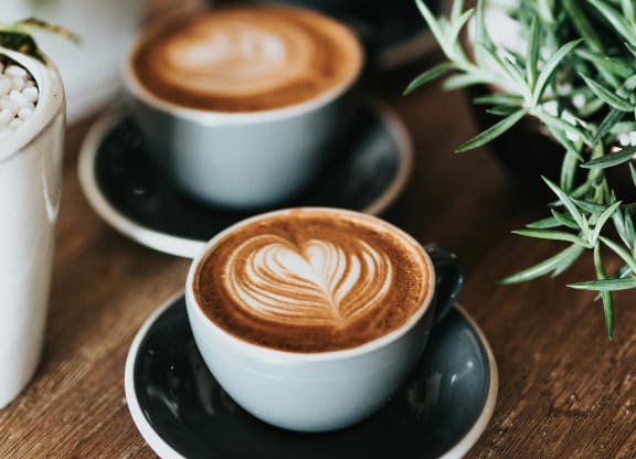 Start Your Morning with Local Coffee Shops Near The Harper