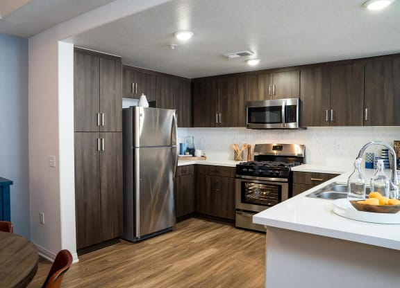 Gourmet Kitchen with Chef Inspired Stainless Steel Appliances