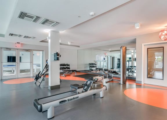 Gym with Free Weights, WaterRower, and Inversion Benches for Full Body Training