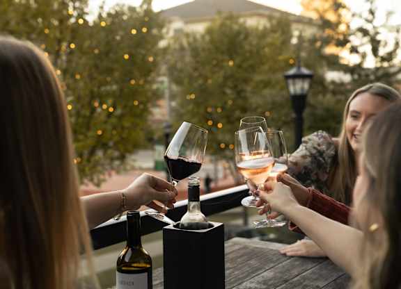 A group of people toasting with wine glasses at a table.