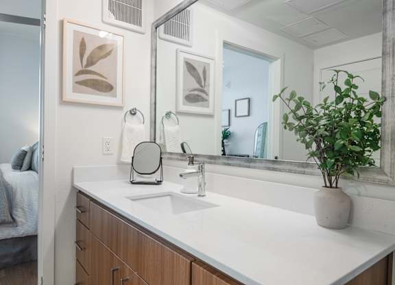 A bathroom with a white countertop and a potted plant.