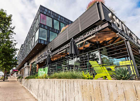 Grab a Burger at Shake Shack