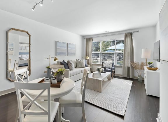Modern Apartment Living Room Connected to Dining Space