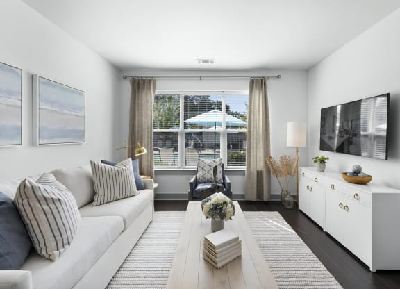 Contemporary Apartment Living Room with Plush Sofa and Accent Chair
