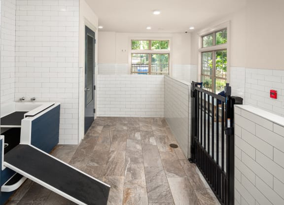 a pet spa for your fur friends