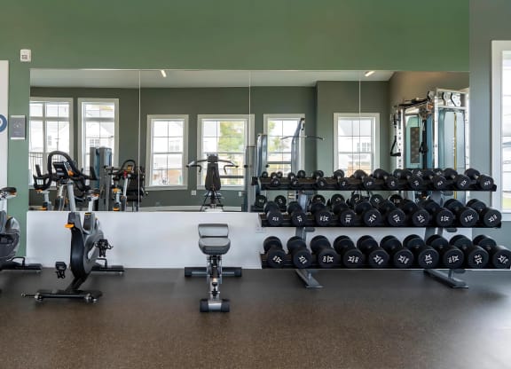 Fitness Studio with Free Weights