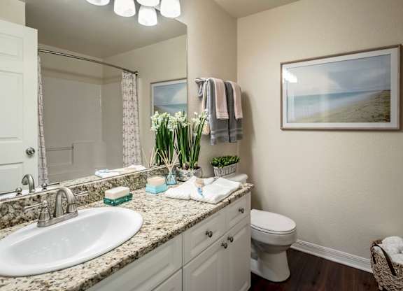 Bathroom with granite vanity, framed art and bright lighting
