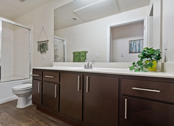 Mountainside Bathroom Luxurious Bathrooms with Large Showers