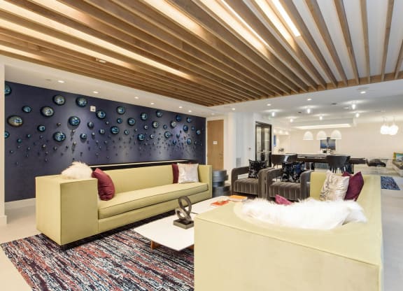 Large Lounge with Couches