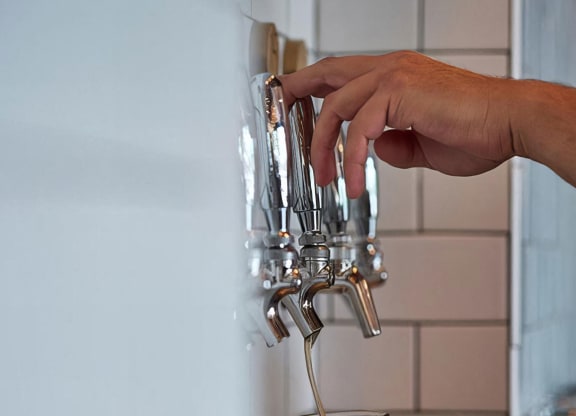 Enjoy local bars and exciting breweries near Novel Cary