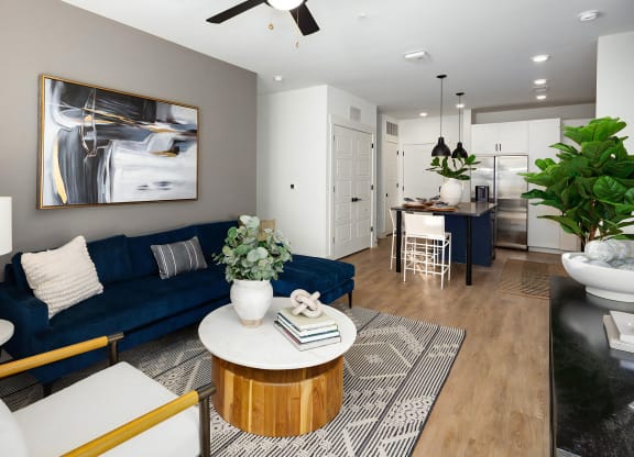 Modern Open Plan Concept for Living and Dining Areas