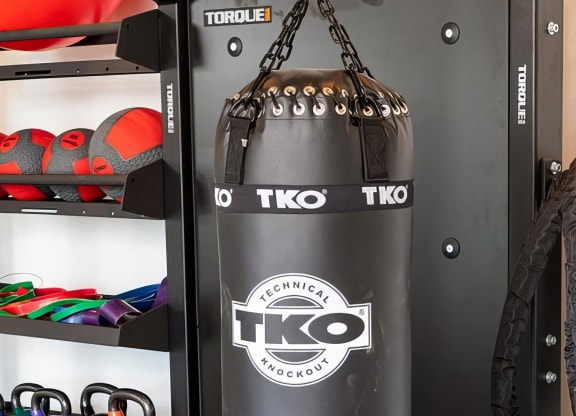 Fitness Studio with State-of-the-Art Cardio & Strength Training Machines