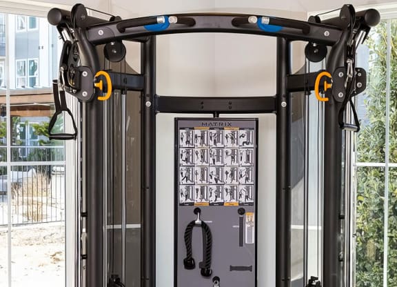 Fitness Studio with State-of-the-Art Cardio & Strength Training Machines