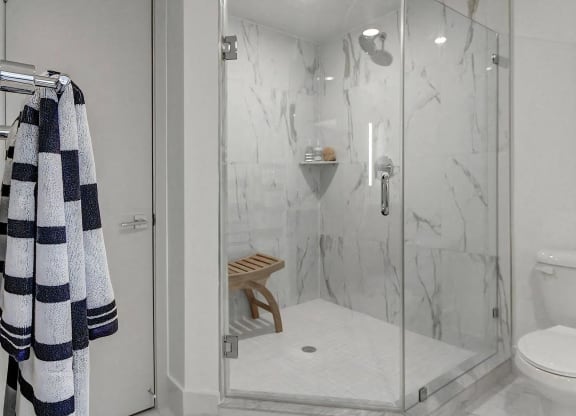 Large Glass Walk In Shower
