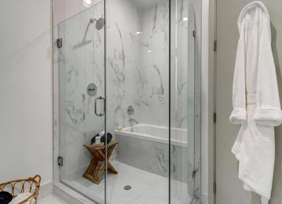 Walk In Glass Shower and Tub