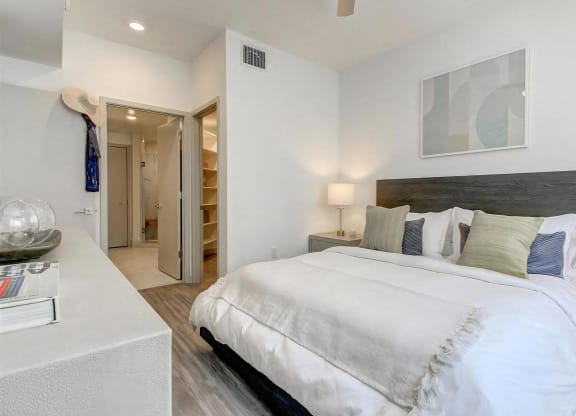 Oversized Bedroom With Large Walk In Closet