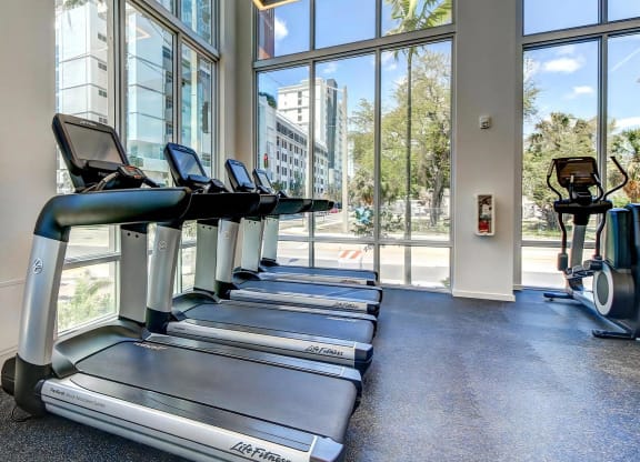 Cardio Machines In Fitness Studio