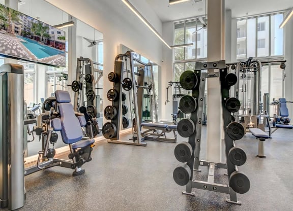 Full Fitness Studio with Weights