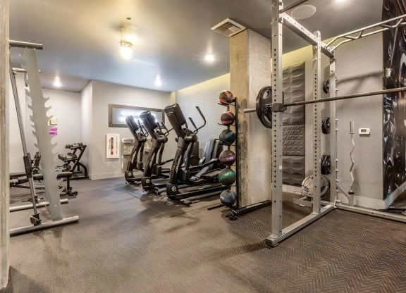 Fitness Center with Cardio Machines and Weights