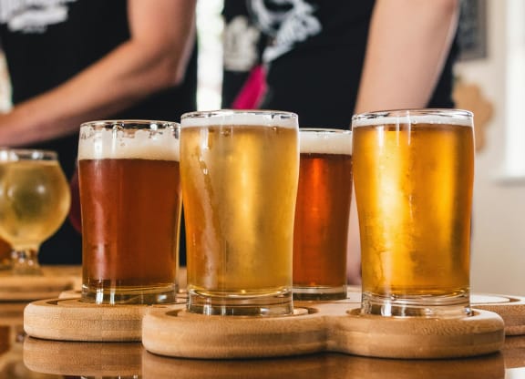 Sip Craft Beers At Optimism Brewing Company
