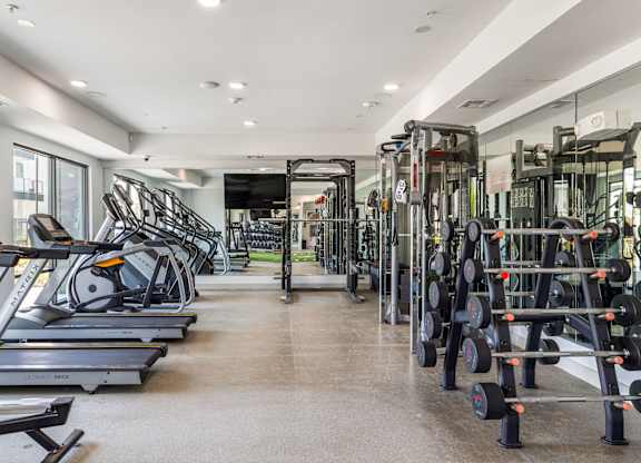 Rhythm State-of-the-art Fitness Center with Free Weights and Cardio Machines