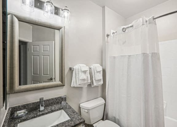 a bathroom with a toilet and a sink and a mirror