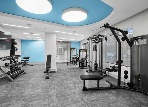 A gym with a variety of equipment including a treadmill, weights, and a bench press.