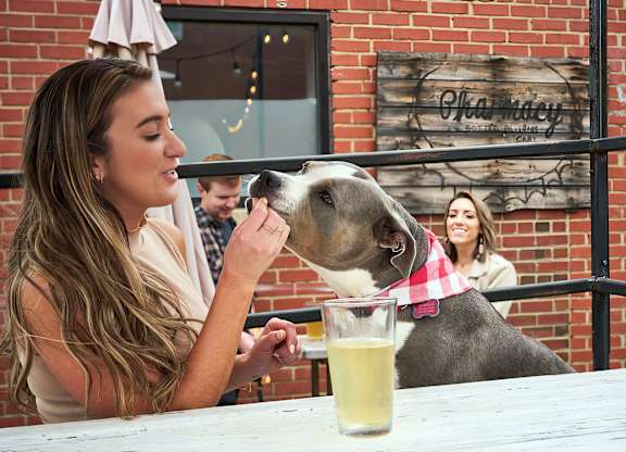 Take your pets to the outdoor areas at the local Pharmacy Bottle + Beverage near Novel Cary