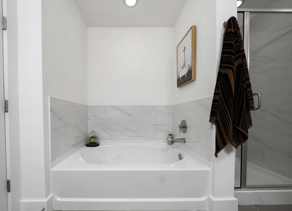 Spa-Inspired Bathroom with Deep Soaking Tub and Modern Fixtures