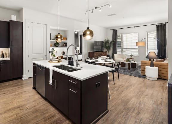 Apartment Kitchen and Living Area With Wood Flooring and Dining Setup