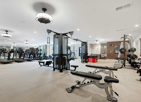 Fully Equipped Fitness Center with Treadmills, Ellipticals, and Free Weights