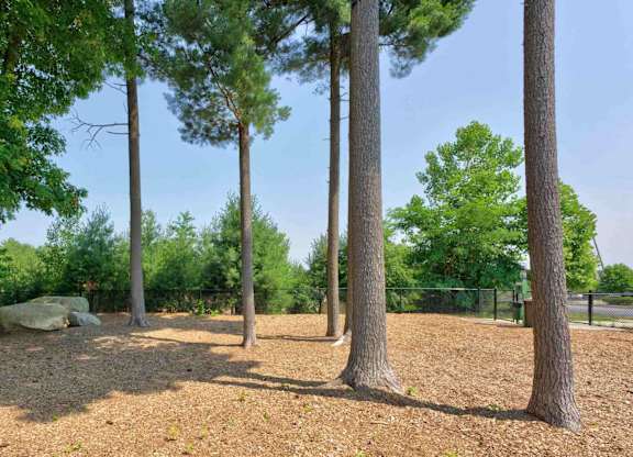 Wooded dog park with tall trees, mulch, boulders, and perimeter fencing.