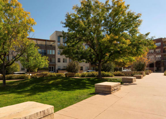 View of Building from Nearby Park