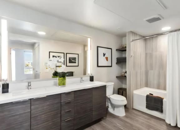 Double Vanities with Large Soaking Tub