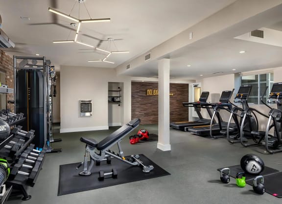 Venice on Rose Community Fitness Fitness studio with Cardio Equipment